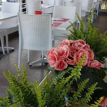 Vienna