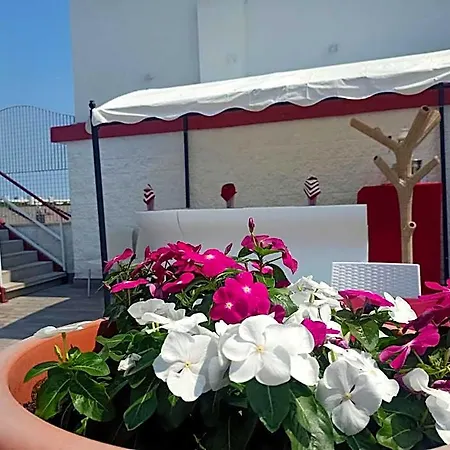 Vienna Hotel 3*